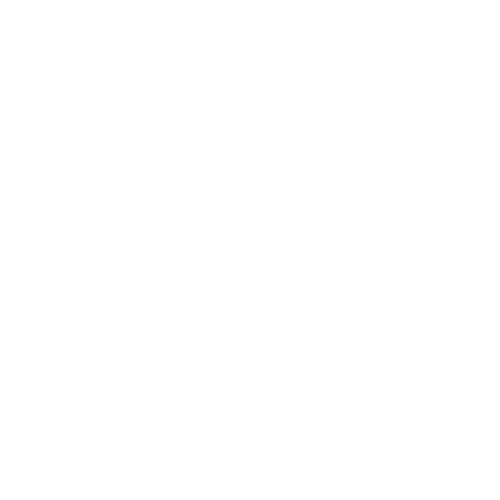 Google Plus