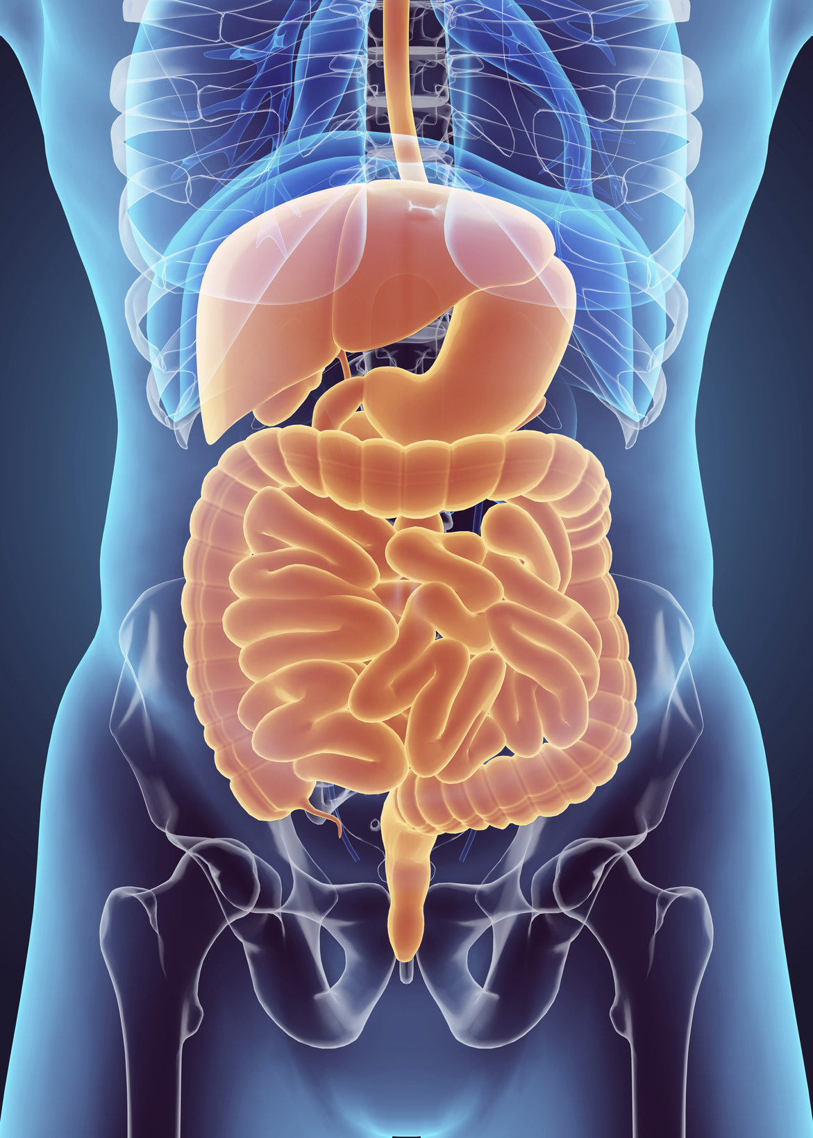 Gastrointestinal Diseases